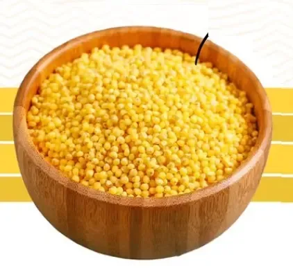 क्या छोटा बाजरा सुपरफूड है? इसे अपनी थाली में शामिल करें!