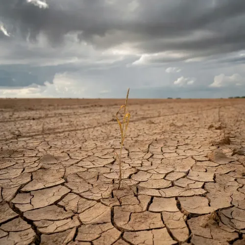 CM Fadnavis seeks Centre's special drought aid in Delhi