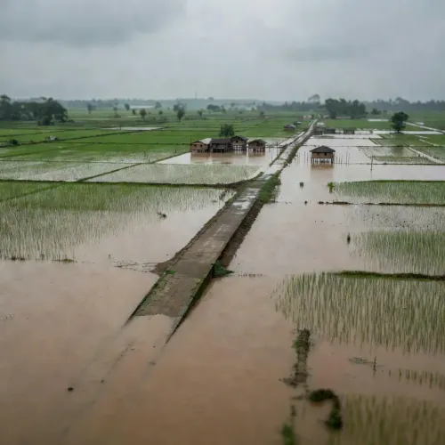 CM Himanta Announces 6-Month Loan Moratorium for Assam Flood Victims