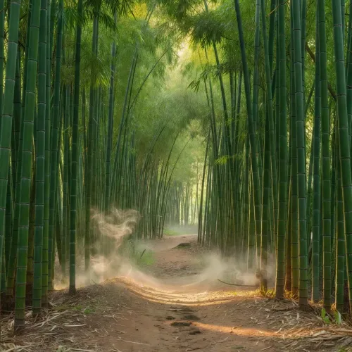 CM Himanta flags bamboo's 800+ byproducts, Modi's grass reclassification
