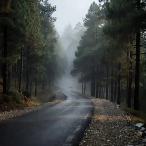 HP CMO sanctions Rs 50 lakh for Seraj road upkeep
