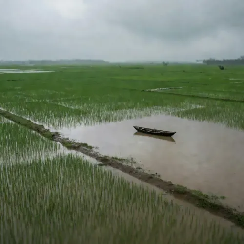 Kejriwal urges Centre for permanent Assam flood fix