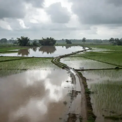 Sonowal Speaks to BJP Chief on Assam Flood Relief