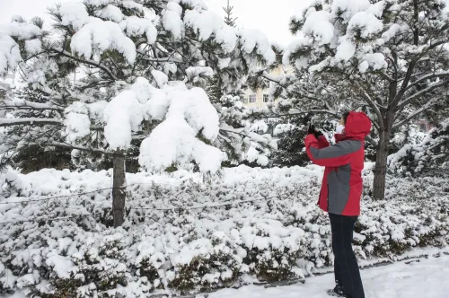 Mongolia Issues Alert for Impending Blizzards