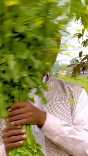MP CM Mohan Yadav drives 'Kisan Kalyan Year' to boost farmer incomes
