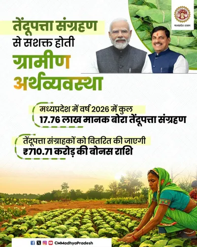 MP CM Office Announces ₹710.71 Cr Bonus for Tendu Leaf Collectors