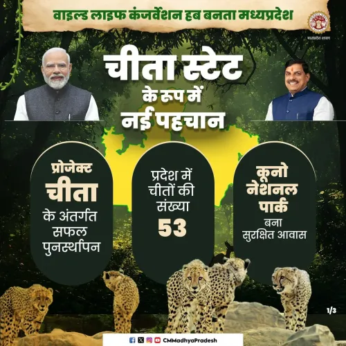 MP CMO Brands State as 'Cheetah State' Wildlife Hub
