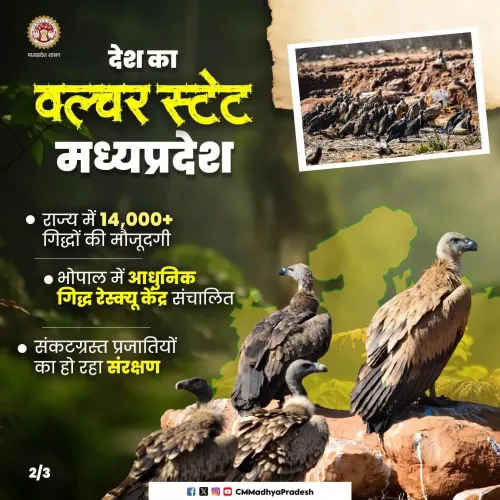 MP CMO Declares State India's 'Vulture State'