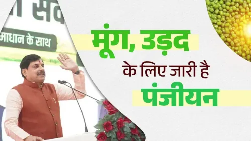 MP Govt Launches Moong-Urad Procurement Registration, Offers Rs 600 Bonus