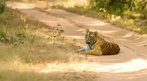 Madhya Pradesh Government Honors B.R. Ambedkar with New Wildlife Sanctuary