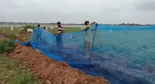 How are Neemuch fishermen benefiting from the Pradhan Mantri Matsya Sampada Yojana?