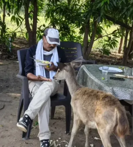 Satpura Tiger Reserve officer suspended for petting wild Sambar deer on video