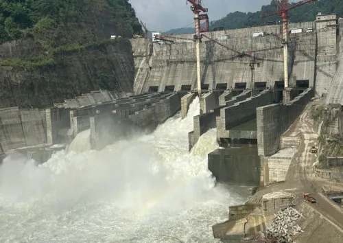 How is MP Securing 252 MW Hydropower from Arunachal?