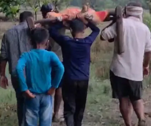 Rewa tribal woman dies after 2km cot carry, no road or ambulance
