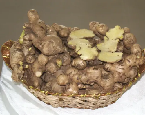 What is the New High-Yield Ginger Variety 'SAS-KEVU' Developed by Nagaland University?