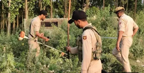 नशा मुक्त जम्मू-कश्मीर अभियान के 100 दिन: बारामूला पुलिस ने 53 गिरफ्तार किए, 42 मामले दर्ज