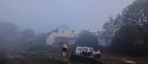 नासिक के सिन्नर में मौसम का मिजाज हुआ बदल, गर्मी की जगह बारिश और कोहरा