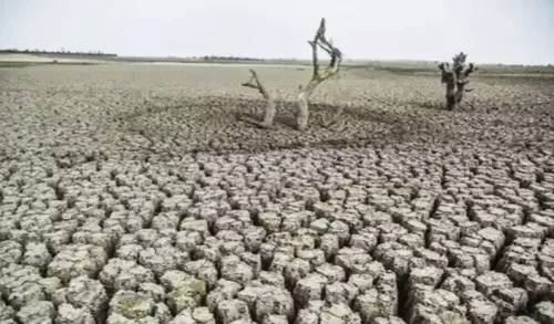 Around 200 Nations Pledge to Prioritize Land Restoration and Drought Resilience