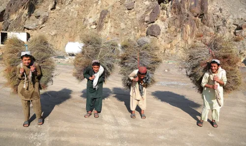 28 million Afghans unable to meet basic needs, UNDP warns in 2025 report