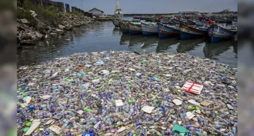 Negotiations Concerning Global Treaty to Combat Plastic Pollution Conclude Without Consensus