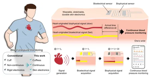 Could a New Bandage-Like Wearable Monitor Revolutionize Continuous BP Measurement?