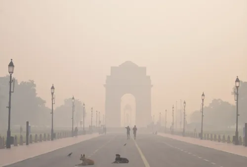Is This New Pocket-Sized Sensor Capable of Detecting Asthma and Lung Damage Caused by Sulphur Dioxide?