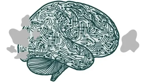 Recent Research on Brain's Visual Areas Offers Insights for AI Development