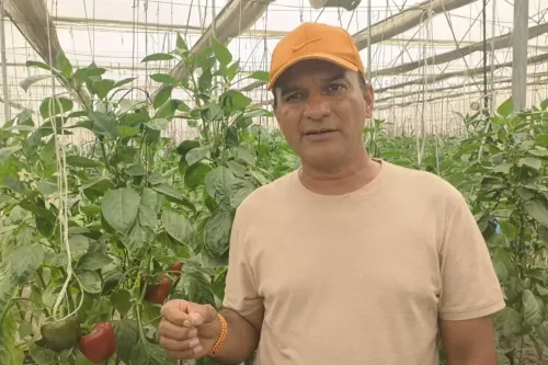 How NHM-Backed Polyhouse Farming is Revolutionizing Farmers' Income and Job Creation in Pilibhit