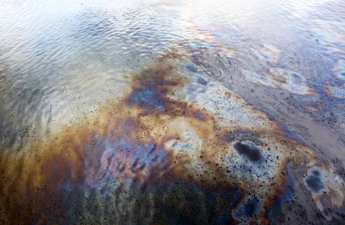 How is NIT Rourkela Mitigating Industrial Oil Spills with Eco-Friendly Biofilm?