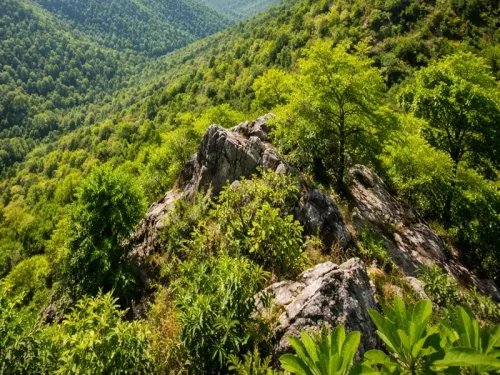 Will the Central Govt's Ban on Mining Protect the Aravallis?