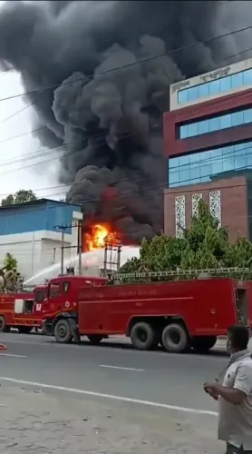नोएडा की केमिकल कंपनी में लगी भीषण आग, दमकल की 12 गाड़ियां पहुंची घटनास्थल