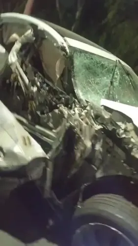 नोएडा में जैगुआर कार का भीषण सड़क हादसा, 19 वर्षीय युवती की मौत, तीन घायल (लीड-1)