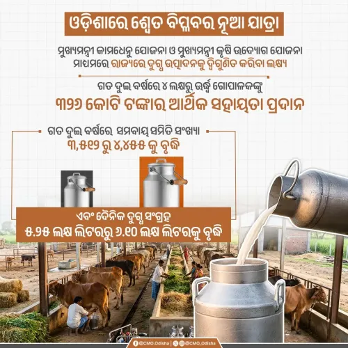 Odisha CMO pushes dairy schemes to double milk output