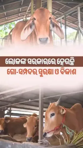 Odisha CMO reaffirms livestock welfare, doorstep vet services