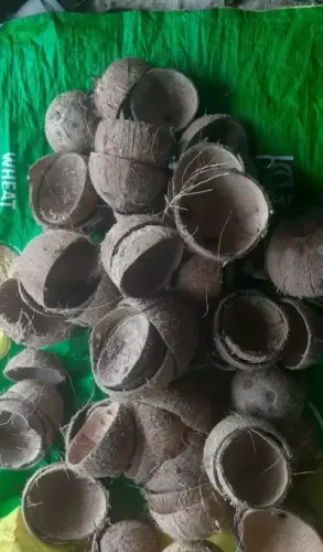 How Have Coconut Shells Transformed into a Lucrative Commodity in Kerala?