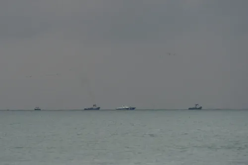 One Indian killed in MV OMORFI attack in Black Sea, MEA confirms