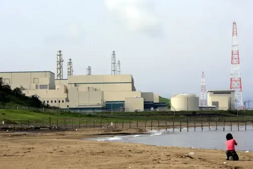 What Caused the Alarm at TEPCO's Recently Restarted Nuclear Plant?