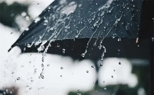 Orange and Yellow Alerts Issued for Numerous TN Districts Amid Heavy Rain Forecast