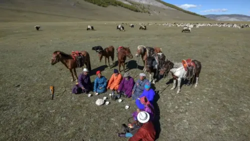 Sheep and Goat Plague Outbreak Confirmed in Western Mongolia