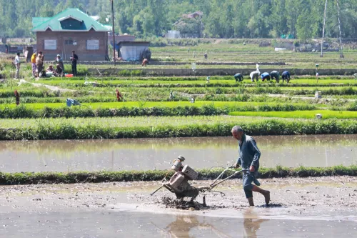 How Have Over 6.1 Crore Indian Farmers Received Aadhaar-like Digital IDs Linked to Land Records?