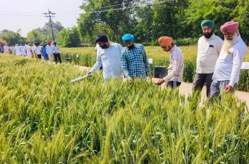 ₹2.9 crore in soil carbon payments reach 2,550 Punjab, Haryana farmers