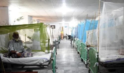 What Are the Latest Dengue Case Reports in Pakistan?