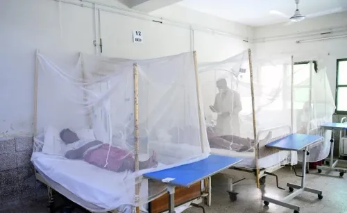 How alarming is the rise of dengue cases in Islamabad?