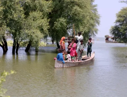 How Many Lives Have the Torrential Rains Claimed in Pakistan?