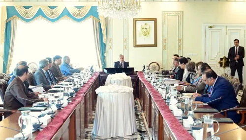 Pakistan's Palestine policy masks 'institutionalised deception': analyst