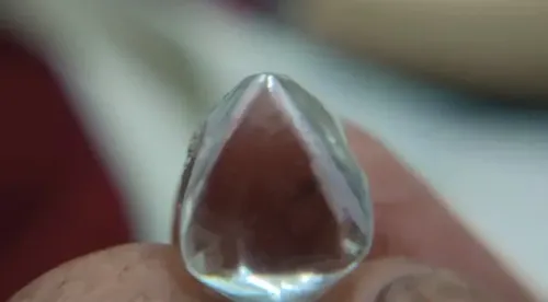 Panna labourer Rakesh Gond finds 11.19-carat diamond worth ₹40 lakh