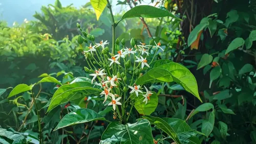 क्या पारिजात वृक्ष है देवताओं का वरदान और मनुष्यों के लिए संजीवनी?
