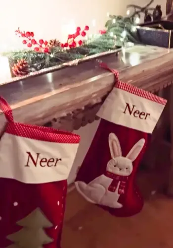 Did Parineeti Chopra & Raghav Chadha's son Neer receive a special gift for his first Christmas?