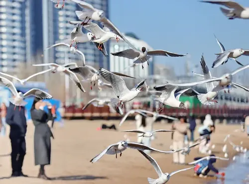 चीन की पारिस्थितिक पर्यावरण संहिता: सभ्यता निर्माण की दिशा में एक महत्वपूर्ण कदम