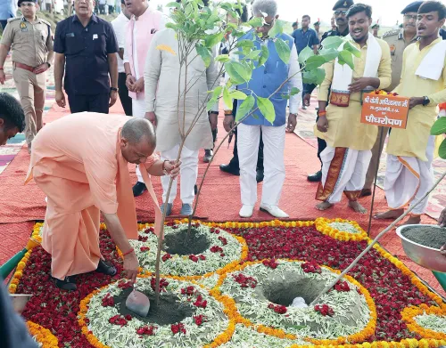 Did UP CM Yogi Adityanath Really Plant 204 Crore Saplings?
